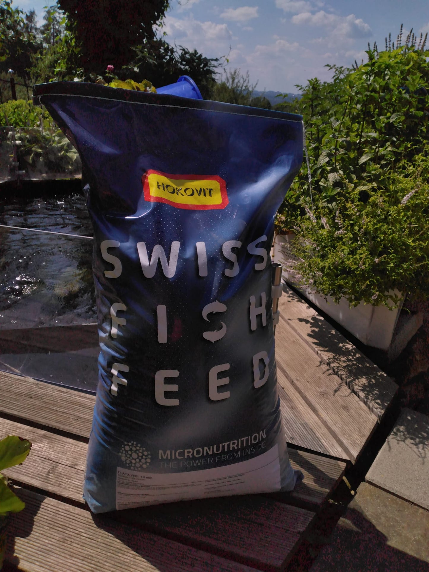 Tilapia Vegi – Extrudiertes Premium-Fischfutter für Aquakultur & Aquaponik
