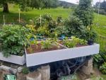 Pflanzbeet aus PE100 – Hochwertiges Beet für Aquaponik & Gartenbau