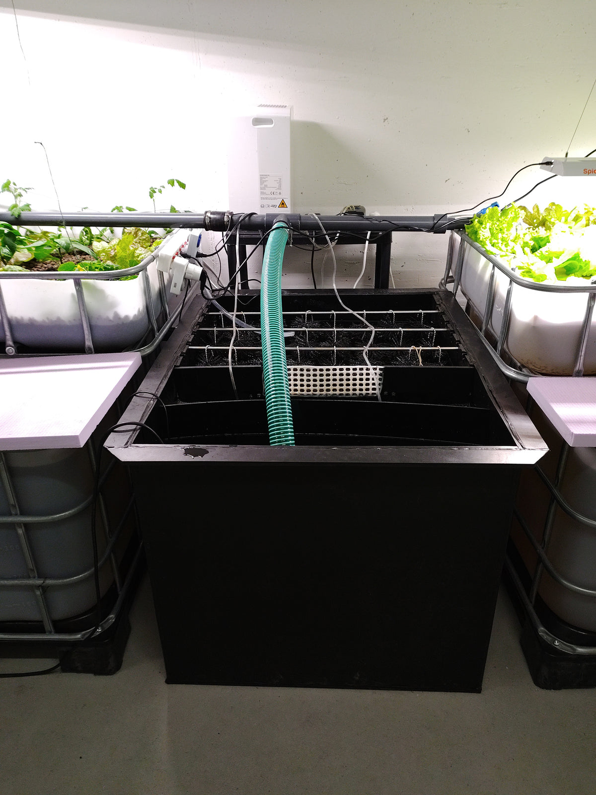 Massangefertigter Bürstenfilter mit 3 Reihen Bürsten, Movingbed Filter und Technikkammer