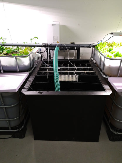 Massangefertigter Bürstenfilter mit 3 Reihen Bürsten, Movingbed Filter und Technikkammer