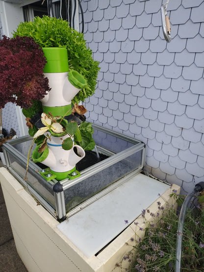 Aufzucht- und Balkonsystem mit Springschutz und Hydrotower auf meinem Balkon