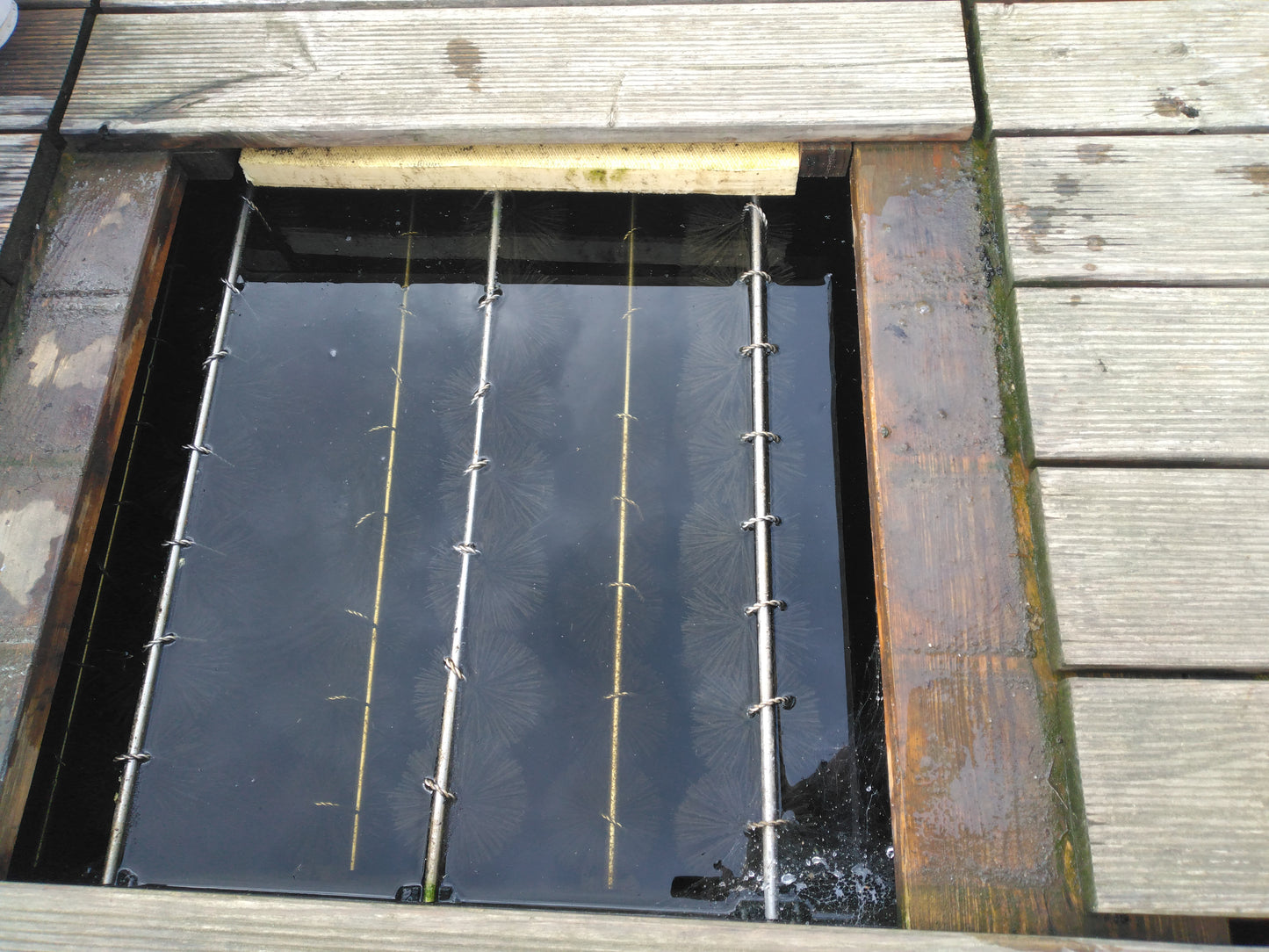 Filterbürste Ø10 cm x 67 cm – Effektive mechanische und biologische Filterung