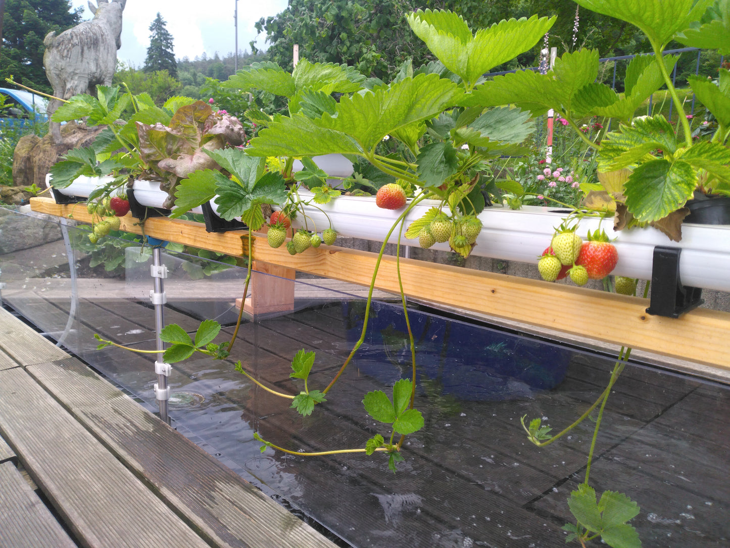 NFT-Rinne 8.5 × 5.5 × 100 cm – Doppelwandige Rinne für Aquaponik & Hydroponik