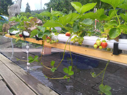 NFT-Rinne 8.5 × 5.5 × 100 cm – Doppelwandige Rinne für Aquaponik & Hydroponik