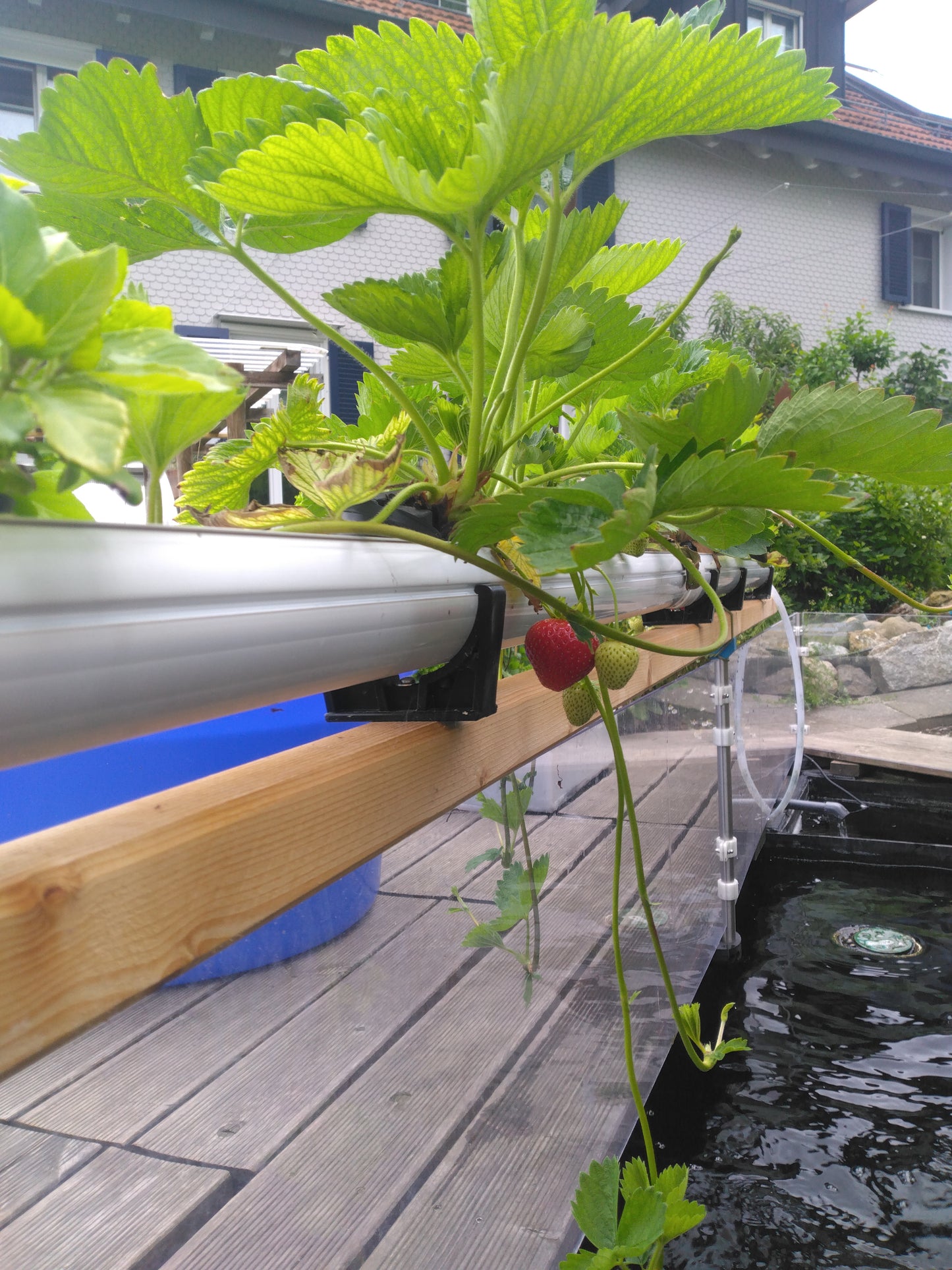 NFT-Rinne 8.5 × 5.5 × 100 cm – Doppelwandige Rinne für Aquaponik & Hydroponik