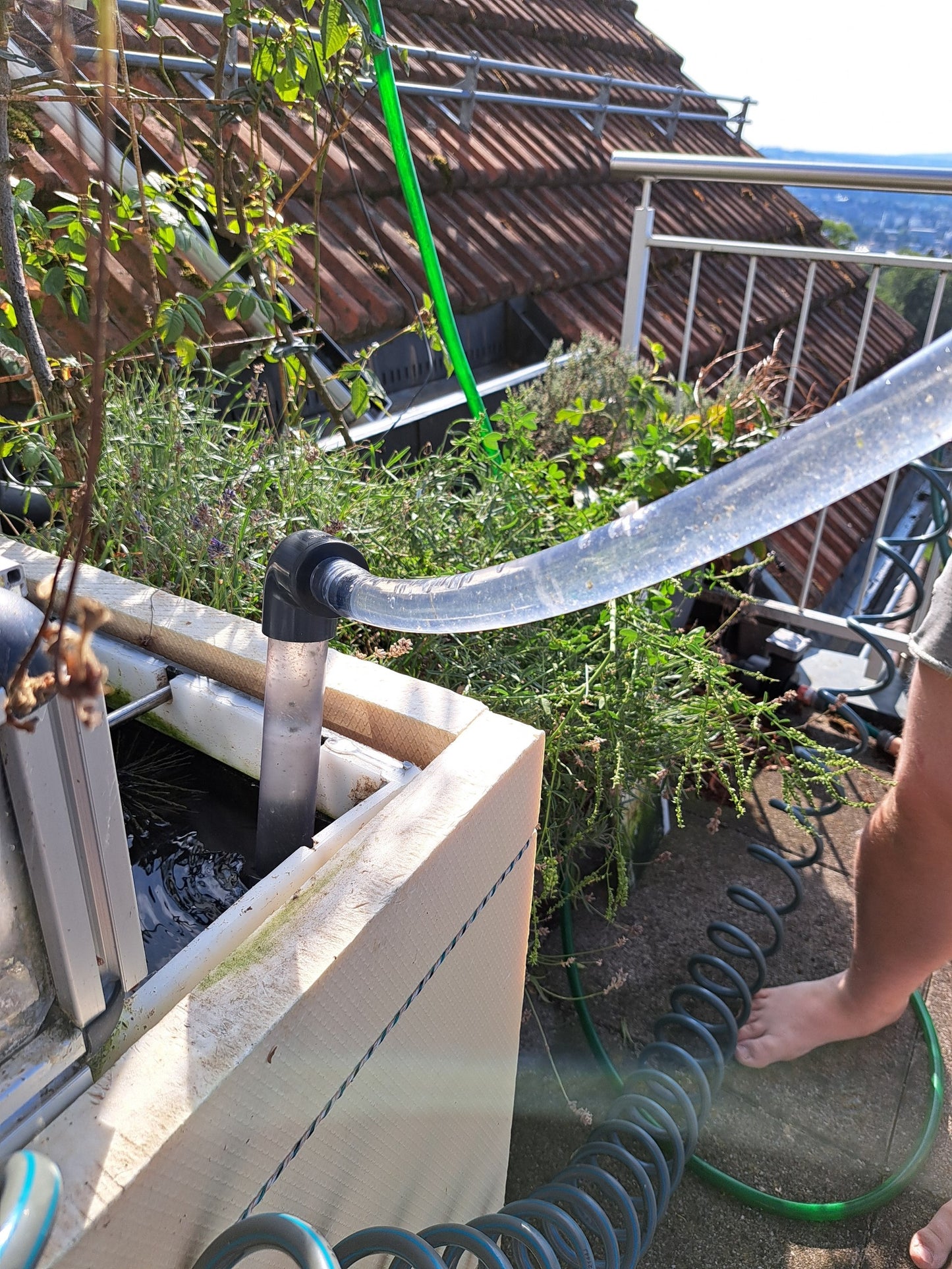 Schlammsauger D32mm – für Aquaponik-Balkonsysteme & Bürstenfilter