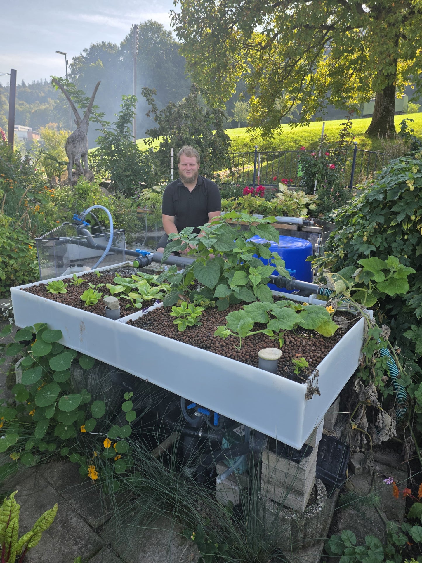 PE100 Pflanzbeet für Aquaponik – Praxisansicht bepflanzt | Flos Aquaponik