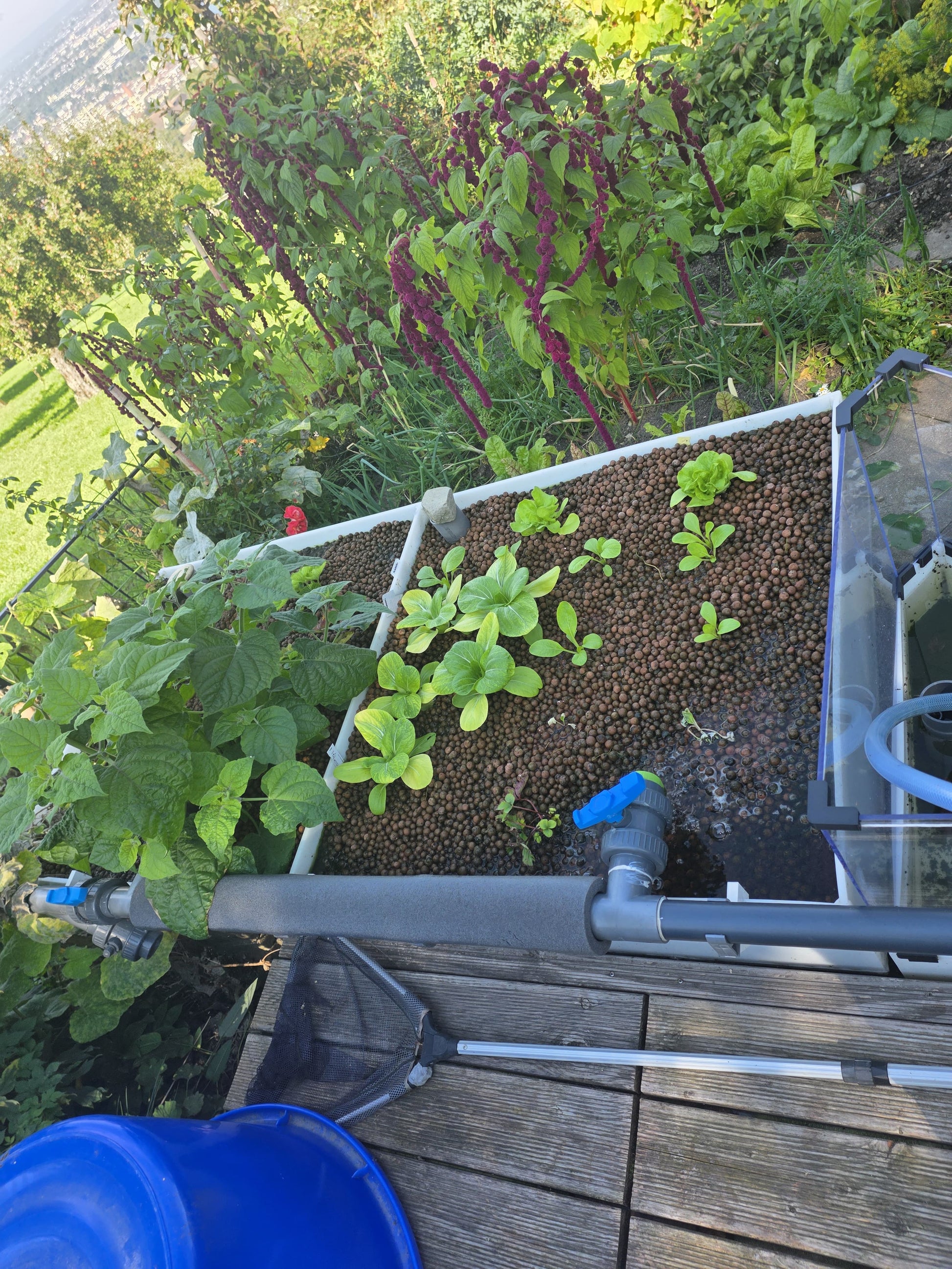 Aquaponik Pflanzbeet PE100 – Aufbau & Installation | Flos Aquaponik
