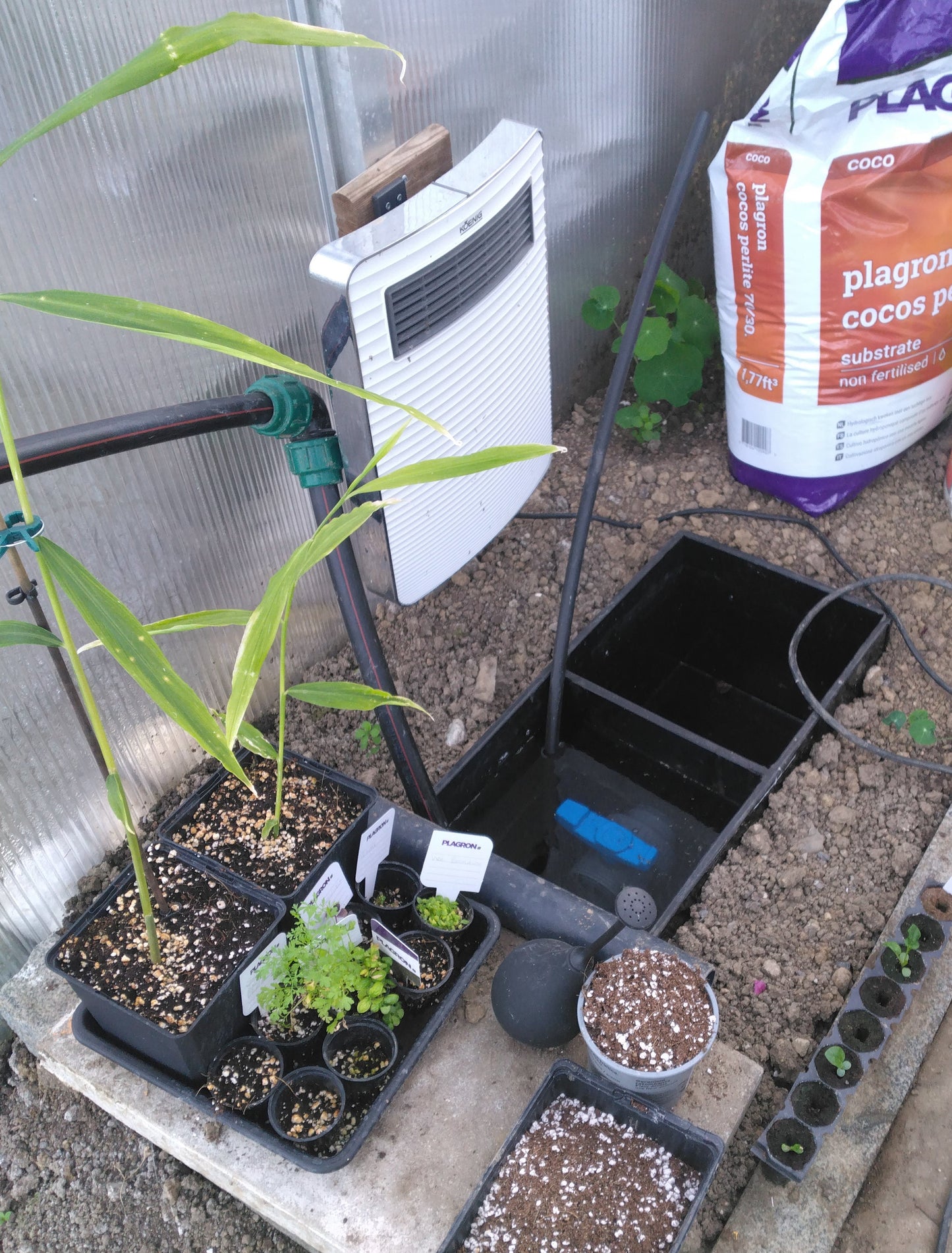 Pumpensumpf für Bato-Bucket-Systeme – 240 l PE100, erdverbaubar & anschlussbereit