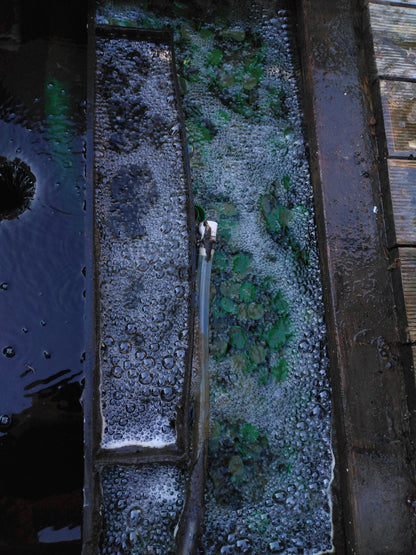 Ecopondchip – Hochleistungs-Filtermedium für Moving-Bed-Filter