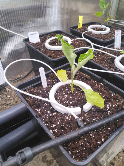 Netbow 12cm Tropfbewässerungssystem