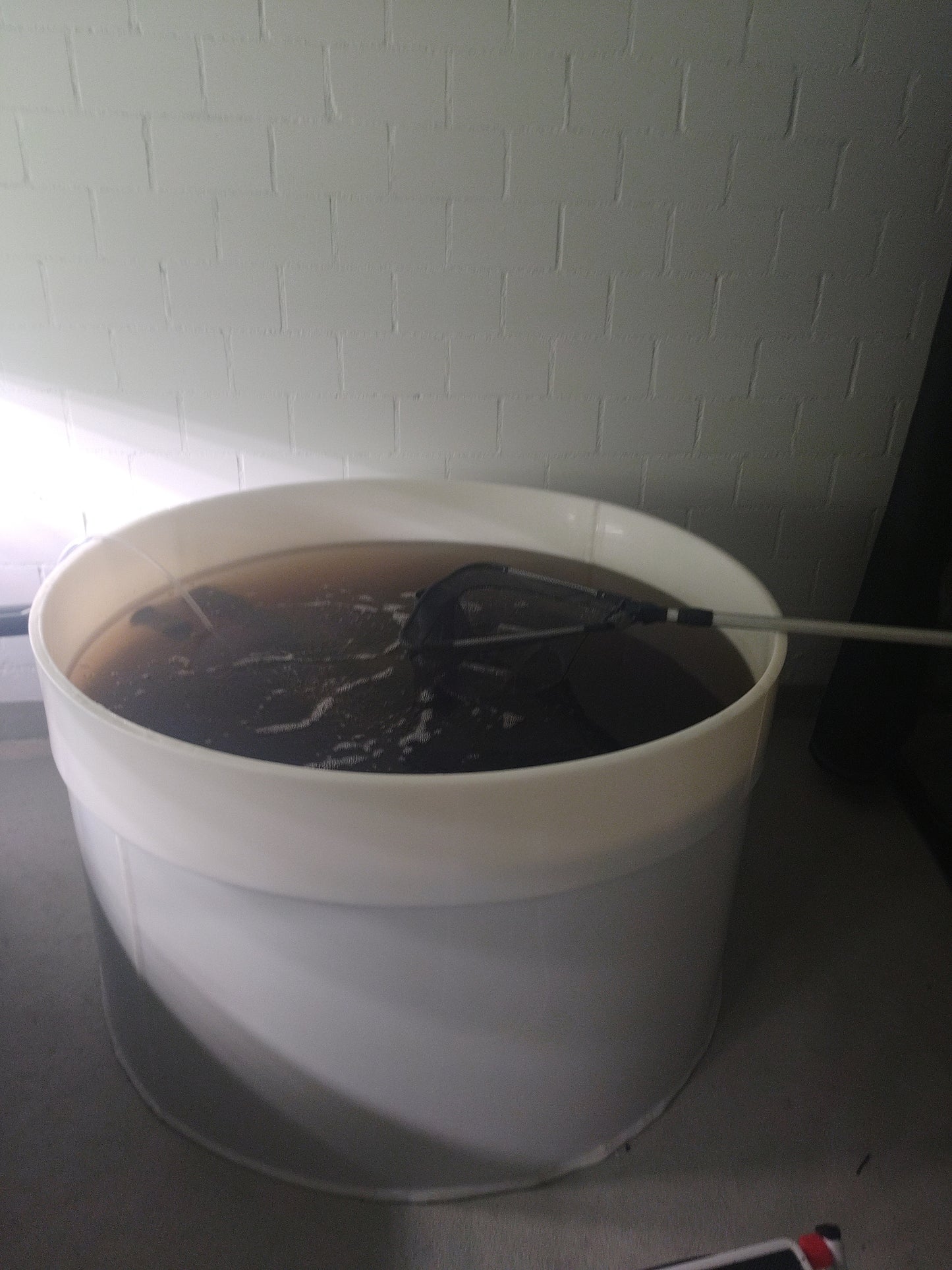 PE Rundbecken 1000L – Aquaponik & Fischzucht