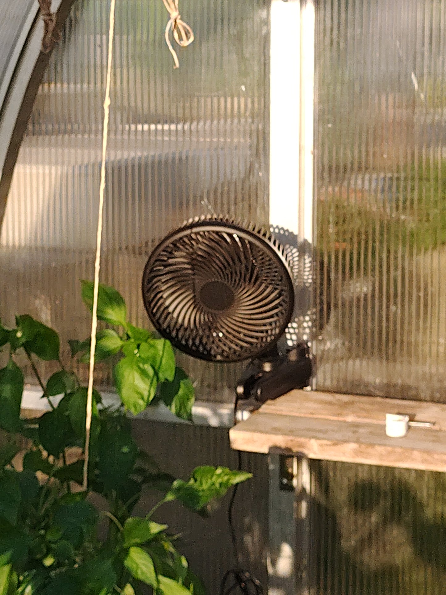 Lothar EC Clip Fan 200mm – Clip-Ventilator mit EC-Technologie für Growräume